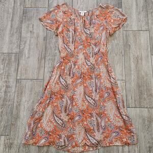 Sundance Paisley Dress Womens Size 10 100% Silk Boho Vintage Inspired Earthy